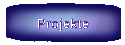 Projekte
